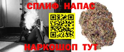 Альфа ПВП Нальчик