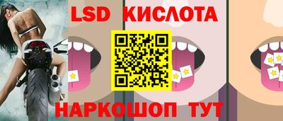 Альфа ПВП Нальчик
