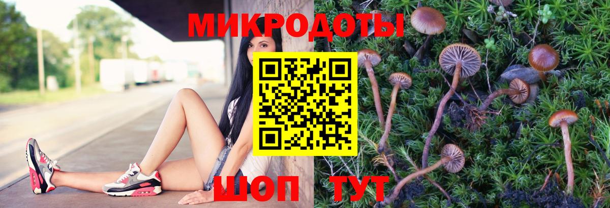 Галлюциногенные грибы прущие грибы  Вход с VPN  Туймазы 