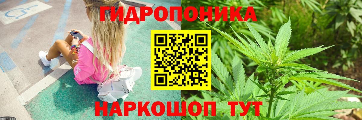 Шишки марихуана индика  Вход с VPN  Туймазы  Шишки марихуана AK-47  Шишки марихуана Bruce Banner 